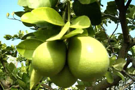 爱游戏官方入口案例展示七